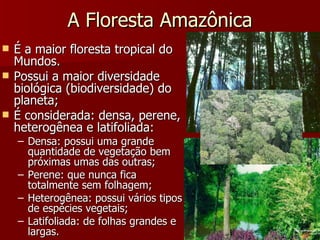 A Floresta Amazônica É a maior floresta tropical do Mundos. Possui a maior diversidade biológica (biodiversidade) do planeta; É considerada: densa, perene, heterogênea e latifoliada: Densa: possui uma grande quantidade de vegetação bem próximas umas das outras; Perene: que nunca fica totalmente sem folhagem; Heterogênea: possui vários tipos de espécies vegetais; Latifoliada: de folhas grandes e largas. 
