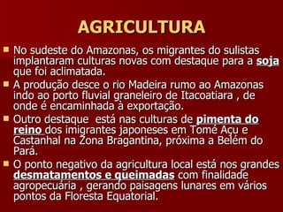 AGRICULTURA No sudeste do Amazonas, os migrantes do sulistas implantaram culturas novas com destaque para a  soja  que foi aclimatada.  A produção desce o rio Madeira rumo ao Amazonas indo ao porto fluvial graneleiro de Itacoatiara , de onde é encaminhada à exportação. Outro destaque  está nas culturas de  pimenta do reino  dos imigrantes japoneses em Tomé Açu e Castanhal na Zona Bragantina, próxima a Belém do Pará. O ponto negativo da agricultura local está nos grandes  desmatamentos e queimadas  com finalidade agropecuária , gerando paisagens lunares em vários pontos da Floresta Equatorial. 