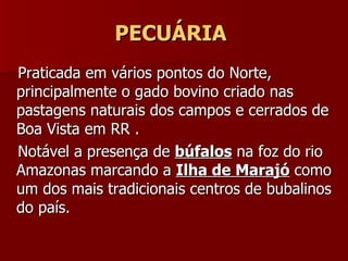 PECUÁRIA   Praticada em vários pontos do Norte, principalmente o gado bovino criado nas pastagens naturais dos campos e cerrados de Boa Vista em RR . Notável a presença de  búfalos  na foz do rio Amazonas marcando a  Ilha de Marajó  como um dos mais tradicionais centros de bubalinos do país. 