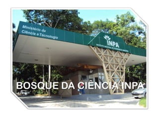 BOSQUE DA CIÊNCIA INPA
 