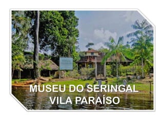 MUSEU DO SERINGAL
   VILA PARAÍSO
 