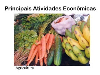 Principais Atividades Econômicas




   Agricultura
 