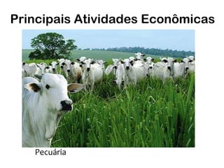 Principais Atividades Econômicas




   Pecuária
 