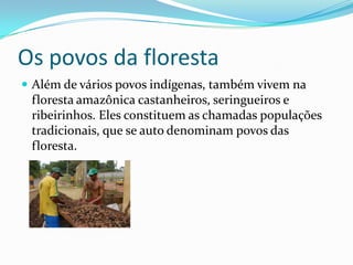 Os povos da floresta
 Além de vários povos indígenas, também vivem na
 floresta amazônica castanheiros, seringueiros e
 ribeirinhos. Eles constituem as chamadas populações
 tradicionais, que se auto denominam povos das
 floresta.
 