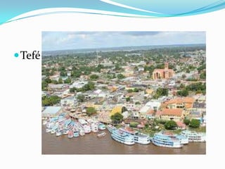  Tefé
 