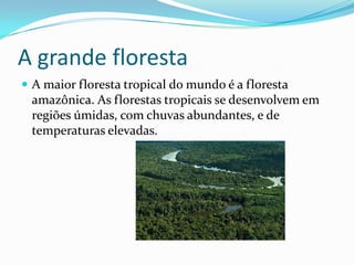 A grande floresta
 A maior floresta tropical do mundo é a floresta
 amazônica. As florestas tropicais se desenvolvem em
 regiões úmidas, com chuvas abundantes, e de
 temperaturas elevadas.
 