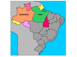 AMAZONAS PARÁ
 