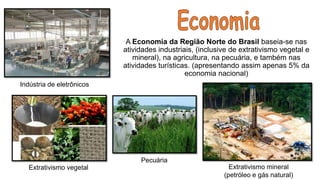 A Economia da Região Norte do Brasil baseia-se nas
atividades industriais, (inclusive de extrativismo vegetal e
mineral), na agricultura, na pecuária, e também nas
atividades turísticas. (apresentando assim apenas 5% da
economia nacional)
Extrativismo vegetal Extrativismo mineral
(petróleo e gás natural)
Pecuária
Indústria de eletrônicos
 