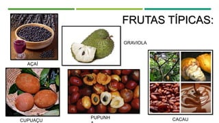 FRUTAS TÍPICAS:
GRAVIOLA
CUPUAÇU
PUPUNH CACAU
AÇAÍ
 