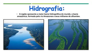 • A região apresenta a maior bacia hidrográfica do mundo, a bacia
amazônica, formada pelo rio Amazonas e seus milhares de afluentes.
 