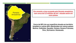 Cerca de 60% de sua superfície situada em território
brasileiro e outros 40% distribuídos em outros países:
Bolívia, Colômbia, Equador, Guiana, Guiana Francesa,
Peru, Suriname e Venezuela.
Em amarelo a área ocupada pela floresta amazônica,
com cerca de 5,5 milhões de km², situada assim em
nove países
 
