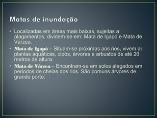 • Localizadas em áreas mais baixas, sujeitas a
alagamentos, dividem-se em: Mata de Igapó e Mata de
Várzea.
• Mata de Igapó – Situam-se próximas aos rios, vivem ai
plantas aquáticas, cipós, árvores e arbustos de até 20
metros de altura.
• Mata de Várzea – Encontram-se em solos alagados em
períodos de cheias dos rios. São comuns árvores de
grande porte.
 