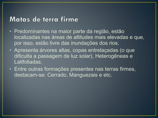 • Predominantes na maior parte da região, estão
localizadas nas áreas de altitudes mais elevadas e que,
por isso, estão livre das inundações dos rios.
• Apresenta árvores altas, copas entrelaçadas (o que
dificulta a passagem de luz solar), Heterogêneas e
Latifoliadas.
• Entre outras formações presentes nas terras firmes,
destacam-se: Cerrado, Manguezais e etc.
 