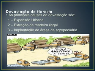 • As principais causas da devastação são:
1 – Expansão Urbana
2 – Extração de madeira ilegal
3 – Implantação de áreas de agropecuária.
 