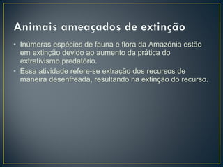 • Inúmeras espécies de fauna e flora da Amazônia estão
em extinção devido ao aumento da prática do
extrativismo predatório.
• Essa atividade refere-se extração dos recursos de
maneira desenfreada, resultando na extinção do recurso.
 