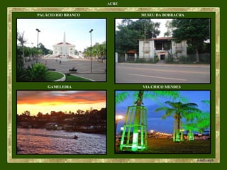 ACRE PALÁCIO RIO BRANCO GAMELEIRA MUSEU DA BORRACHA VIA CHICO MENDES 