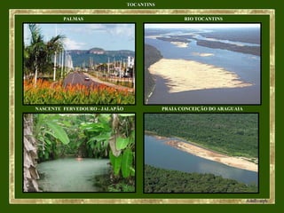 TOCANTINS PALMAS NASCENTE  FERVEDOURO - JALAPÃO RIO TOCANTINS PRAIA CONCEIÇÃO DO ARAGUAIA 