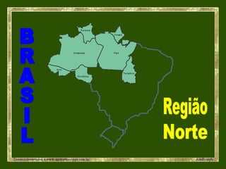 BRASIL Região Norte 