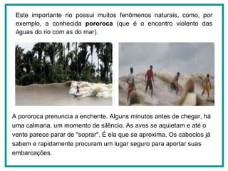 Este importante rio possui muitos fenômenos naturais, como, por exemplo, a conhecida  pororoca  (que é o encontro violento das águas do rio com as do mar).   A pororoca prenuncia a enchente. Alguns minutos antes de chegar, há uma calmaria, um momento de silêncio. As aves se aquietam e até o vento parece parar de "soprar". É ela que se aproxima. Os caboclos já sabem e rapidamente procuram um lugar seguro para aportar suas embarcações.  