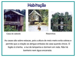As casas são sobre estacas, pois a altura de meio metro evita cobras e permite que a criação se abrigue embaixo da casa quando chove. O fogão é à lenha,  a luz de lamparina e dormem em rede. Não há banheiro nem água encanada.  Casa do caboclo  Habitação Ribeirinhos  