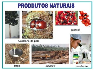 PRODDUTOS NATURAIS Castanha-do-pará guaraná látex madeira essências 