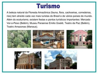 A beleza natural da Floresta Amazônica (fauna, flora, cachoeiras, corredeiras, rios) tem atraído cada vez mais turistas do Brasil e de vários países do mundo. Além do ecoturismo, existem festas e pontos turísticos importantes: Mercado Ver-o-Peso (Belém), Museu Paraense Emilio Goeldi, Teatro da Paz (Belém), Teatro Amazonas (Manaus).  Turismo 
