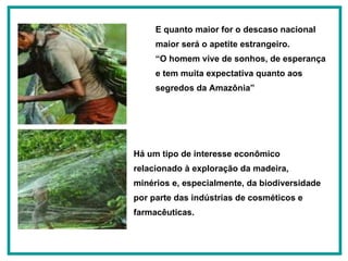 E quanto maior for o descaso nacional maior será o apetite estrangeiro.   “ O homem vive de sonhos, de esperança e tem muita expectativa quanto aos segredos da Amazônia”   Há um tipo de interesse econômico relacionado à exploração da madeira, minérios e, especialmente, da biodiversidade por parte das indústrias de cosméticos e farmacêuticas. 