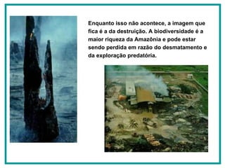 Enquanto isso não acontece, a imagem que fica é a da destruição. A biodiversidade é a maior riqueza da Amazônia e pode estar sendo perdida em razão do desmatamento e da exploração predatória.   