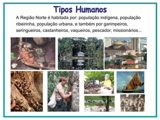 A Região Norte é habitada por: população indígena, população ribeirinha, população urbana, e também por garimpeiros, seringueiros, castanheiros, vaqueiros, pescador, missionários... Tipos Humanos 