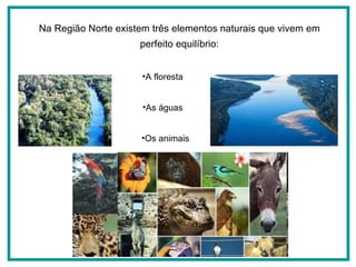 Na Região Norte existem três elementos naturais que vivem em perfeito equilíbrio: A floresta Os animais As águas 