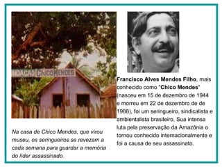 Na casa de Chico Mendes, que virou museu, os seringueiros se revezam a cada semana para guardar a memória do líder assassinado.   Francisco Alves Mendes Filho , mais conhecido como " Chico Mendes " (nasceu em 15 de dezembro de 1944  e morreu em 22 de dezembro de de 1988), foi um seringueiro, sindicalista e ambientalista brasileiro. Sua intensa luta pela preservação da Amazônia o tornou conhecido internacionalmente e foi a causa de seu assassinato.  