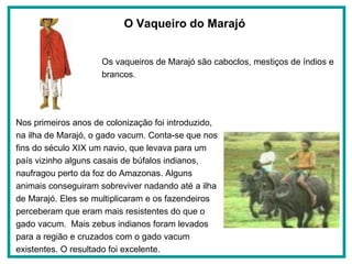 O Vaqueiro do Marajó   Nos primeiros anos de colonização foi introduzido, na ilha de Marajó, o gado vacum. Conta-se que nos fins do século XIX um navio, que levava para um país vizinho alguns casais de búfalos indianos, naufragou perto da foz do Amazonas. Alguns animais conseguiram sobreviver nadando até a ilha de Marajó. Eles se multiplicaram e os fazendeiros perceberam que eram mais resistentes do que o gado vacum.  Mais zebus indianos foram levados para a região e cruzados com o gado vacum existentes. O resultado foi excelente.  Os vaqueiros de Marajó são caboclos, mestiços de índios e brancos.  
