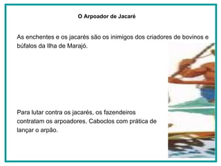 As enchentes e os jacarés são os inimigos dos criadores de bovinos e búfalos da Ilha de Marajó.  Para lutar contra os jacarés, os fazendeiros contratam os arpoadores. Caboclos com prática de lançar o arpão.  O Arpoador de Jacaré   