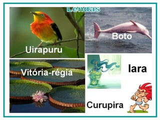 Vitória-régia Uirapuru 