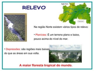 RELEVO Planícies:  É um terreno plano e baixo, pouco acima do nível do mar. A maior floresta tropical do mundo. Depressões:  são regiões mais baixas do que as áreas em sua volta.  Na região Norte existem vários tipos de relevo:  
