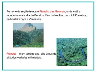 Ao norte da região temos o  Planalto das Guianas , onde está a montanha mais alta do Brasil: o Pico da Neblina, com 2.993 metros, na fronteira com a Venezuela.  Planalto  – é um terreno alto, são áreas de  altitudes variadas e limitadas.  