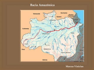 Marcus Vinicius
Bacia Amazônica
 
