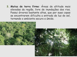 3. Matas de terra firme: Áreas de altitude mais 
elevadas da região, livre de inundações dos rios. 
Possui árvores bastante altas, que por suas copas 
se encontrarem dificulta a entrada de luz do sol, 
tornando o ambiente escuro e úmido. 
 