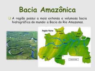 Bacia Amazônica 
 A região possui a mais extensa e volumosa bacia 
hidrográfica do mundo: a Bacia do Rio Amazonas. 
 