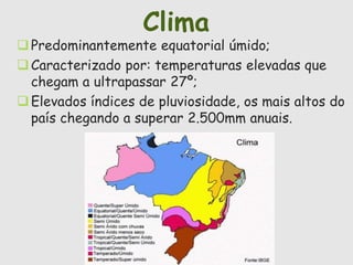 Clima 
 Predominantemente equatorial úmido; 
Caracterizado por: temperaturas elevadas que 
chegam a ultrapassar 27º; 
 Elevados índices de pluviosidade, os mais altos do 
país chegando a superar 2.500mm anuais. 
 