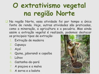 O extrativismo vegetal 
na região Norte 
 Na região Norte, essa atividade foi por tempo a única 
fonte de renda. Hoje, outras atividades são praticadas, 
como a mineração, a agricultura e a pecuária. Mas ainda 
assim a extração vegetal é realizada, podemos destacar 
os principais tipos de extração: 
1. Extração de madeira 
2. Cupuaçu 
3. Açaí 
4. Quina, jaborandi e copaíba 
5. Látex 
6. Castanha-do-pará 
7. A piaçava e a malva 
8. A sorva e a balata 
 