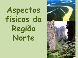 Aspectos 
físicos da 
Região 
Norte 
 
