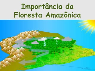 Importância da 
Floresta Amazônica 
 