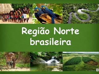 Material completo - Região norte brasileira