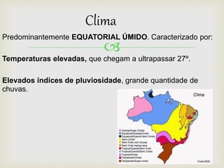 
Clima
Predominantemente EQUATORIAL ÚMIDO. Caracterizado por:
Temperaturas elevadas, que chegam a ultrapassar 27º.
Elevados índices de pluviosidade, grande quantidade de
chuvas.
 