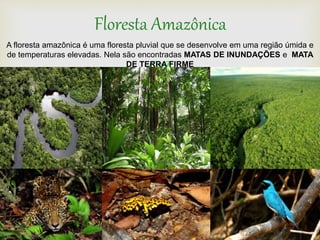 
Floresta Amazônica
A floresta amazônica é uma floresta pluvial que se desenvolve em uma região úmida e
de temperaturas elevadas. Nela são encontradas MATAS DE INUNDAÇÕES e MATA
DE TERRA FIRME
 
