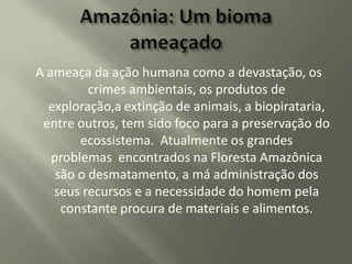 A ameaça da ação humana como a devastação, os
crimes ambientais, os produtos de
exploração,a extinção de animais, a biopirataria,
entre outros, tem sido foco para a preservação do
ecossistema. Atualmente os grandes
problemas encontrados na Floresta Amazônica
são o desmatamento, a má administração dos
seus recursos e a necessidade do homem pela
constante procura de materiais e alimentos.

 