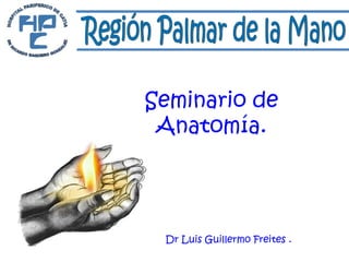 Dr Luis Guillermo Freites .
Seminario de
Anatomía.
 
