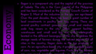  Ilagan is a component city and the capital of the province
of Isabela. The city is the Corn Capital of the Philippines
and has been considered as the Primary Growth Center of
Region 2. Most of the industries in the city are agri-based.
Over the past decades, there has been a great number of
local investments in poultry and hog raising. There are
several poultry contract growers and small and medium
scale hog raisers in the city. Other support facilities,
warehouses and small and big rice mills, strategically
located in the different barangays of the city to address the
storage needs of farmers during the harvest season. Of all
cities in the country, Ilagan ranks as the top producer of
corn. As an agriculture-based city, it produces ample supply
of corn, rice, vegetables and legumes. Fruits like the banana
Economy
 