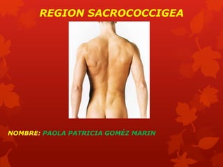 REGION SACROCOCCIGEA




NOMBRE: PAOLA PATRICIA GOMÉZ MARIN
 